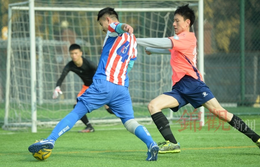 球队精英云集,联赛实力大增! 球队精英云集,联赛实力大增!