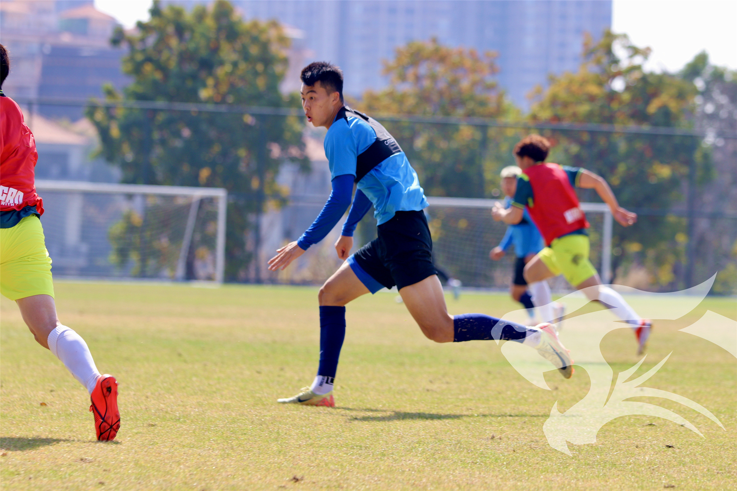 教练策略转变获得成功,球队实力有所提升 教练策略转变获得成功,球队实力有所提升