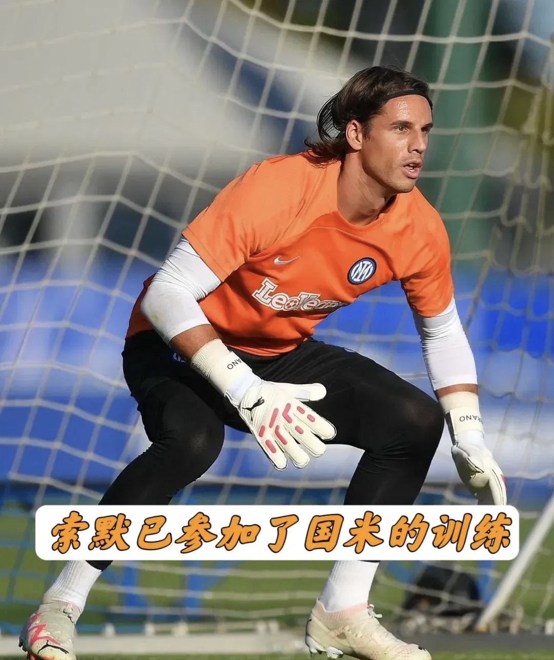 东亚劲旅或将在赛季末夺得桂冠 东亚劲旅或将在赛季末夺得桂冠