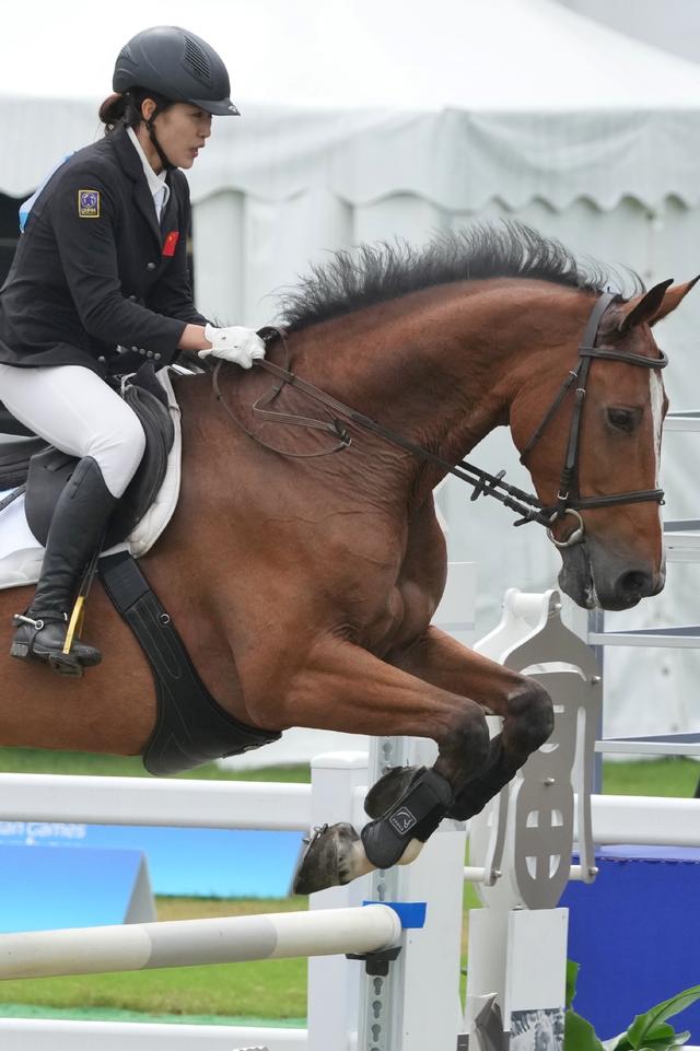 智利马术选手在障碍比赛中驾驭完美取胜 智利马术选手在障碍比赛中驾驭完美取胜