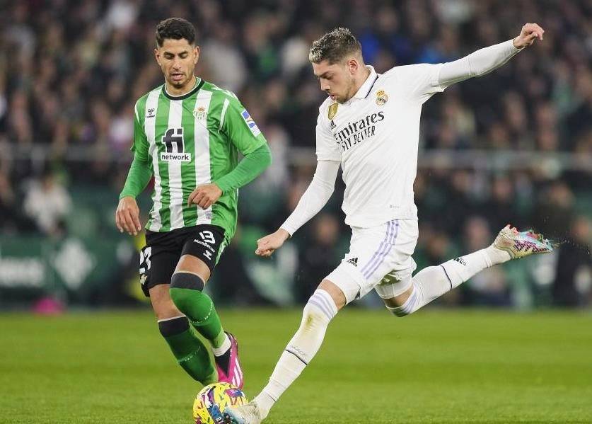 胡尔特军团主场胜出,实力逐渐增强 胡尔特军团主场胜出,实力逐渐增强