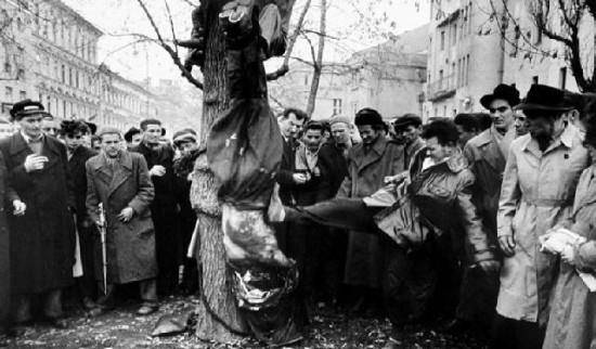 匈牙利国家队屡遭打击,备战艰难 匈牙利国家队屡遭打击,备战艰难