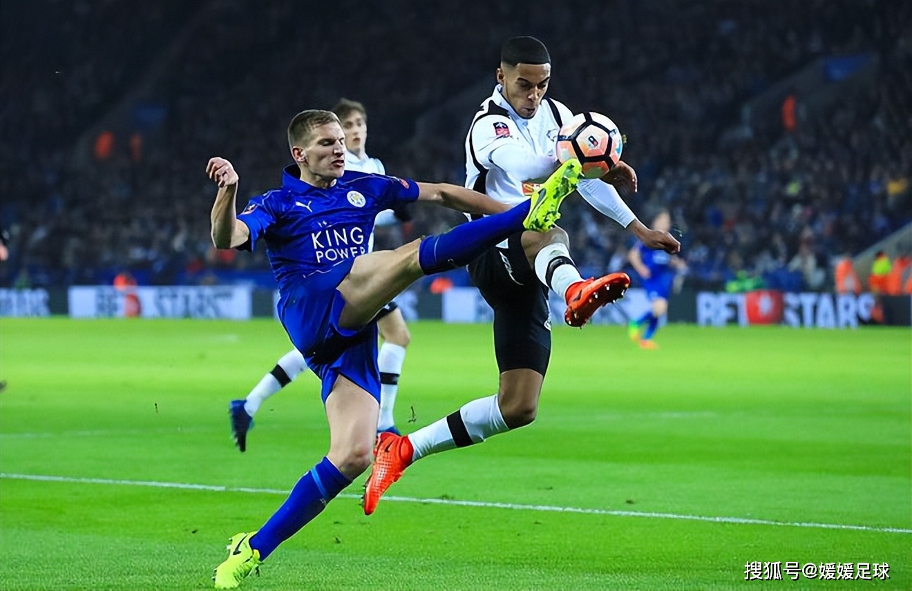 莱切斯特城队在场上取得胜利 莱切斯特城队在场上取得胜利