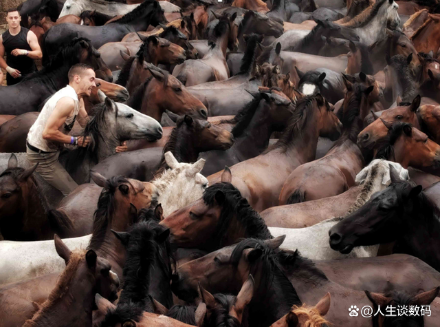 精彩瞬间打动人心观看不忍离 精彩瞬间打动人心观看不忍离
