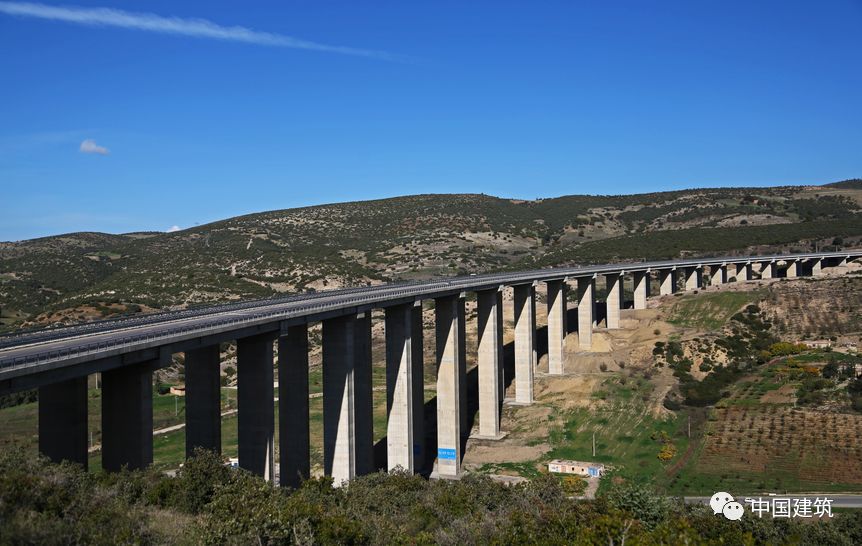 阿尔及利亚队全员备战，冲击下一关胜利