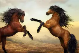 马鲁设森斯欲倒柯马汉,同俱手推更 马鲁设森斯欲倒柯马汉,同俱手推更