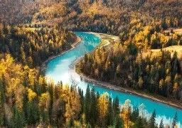 新疆雪豹主场被攀岭幸福逼平,积分上无太大变化 新疆雪豹主场被攀岭幸福逼平,积分上无太大变化