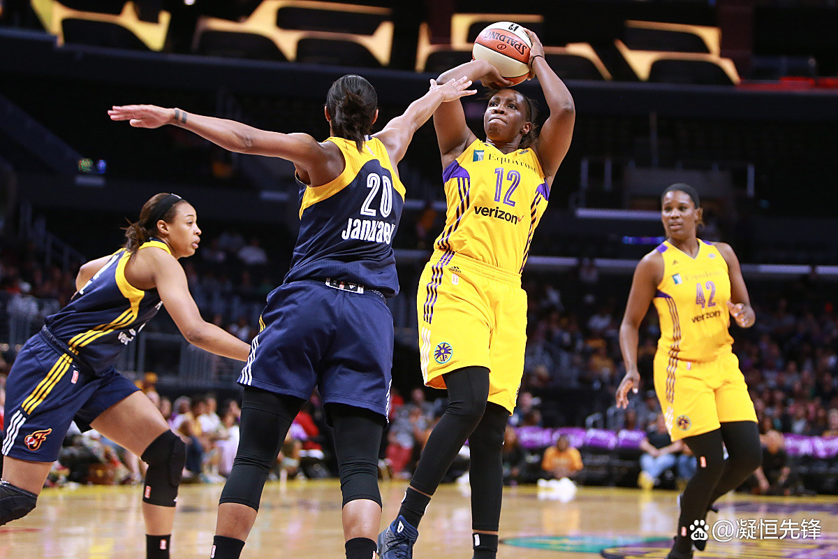 威廉希尔官网-森林狼队球员变阵出击，期待球队表现突出