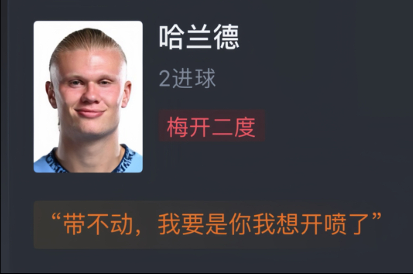 哈兰德梅开二度,多特逆转勒沃库森 哈兰德梅开二度,多特逆转勒沃库森