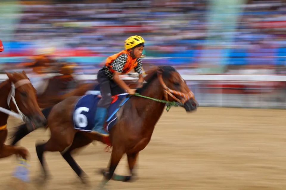 英国威廉希尔-赛马比赛选手技艺高超，赛场精彩纷呈